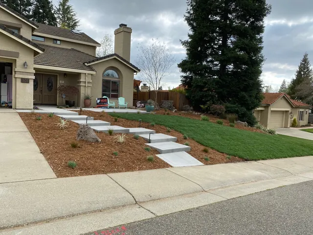 Front yard hardscape with floating concrete steps, new lawn and drought-tolerant planting