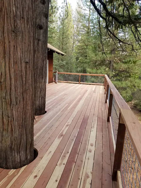 Redwood deck built around a mature cedar tree with a wire cable railing